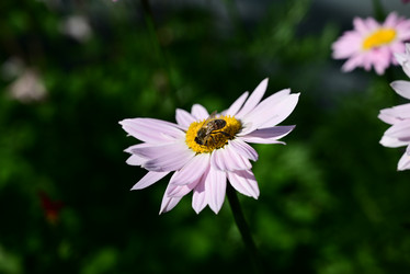 Similar image 21521113