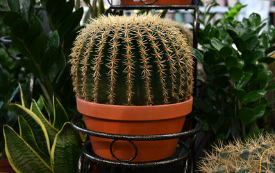 Similar image 21521117