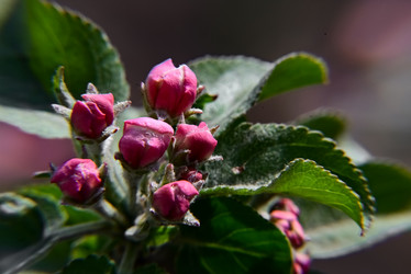 Similar image 21521139