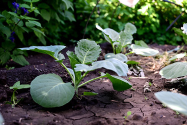 Similar image 21521060