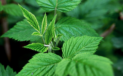 Similar image 21521061