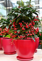 Similar image 21521067