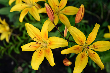 Similar image 21521075