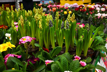 Similar image 21521082