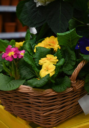 Similar image 21521083