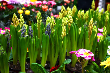 Similar image 21521086