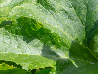 Similar image 21521089