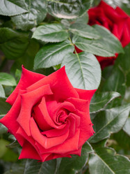 Similar image 21521094