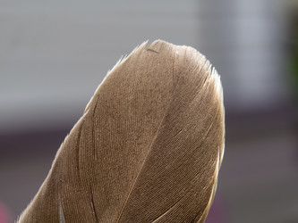 Similar image 21521096