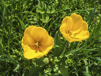 Similar image 21521098