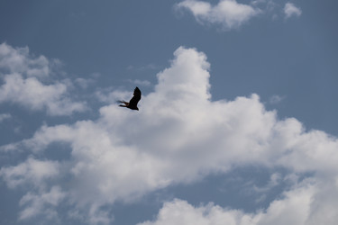 Similar image 21521230