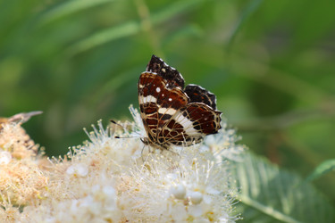 Similar image 21521232