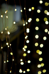 Similar image 21523669