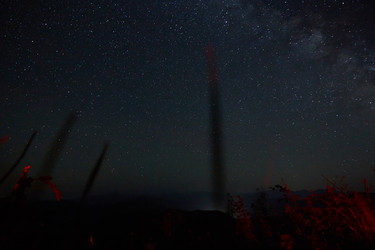 Similar image 21523692