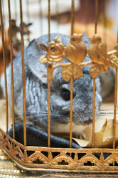 Similar image 21523699