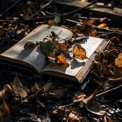 Similar image 21523110