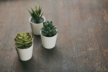 Similar image 21523737