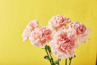 Similar image 21523757