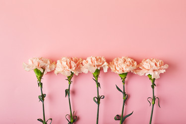 Similar image 21523758