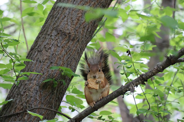 Similar image 21522989