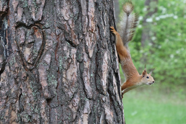 Similar image 21522990