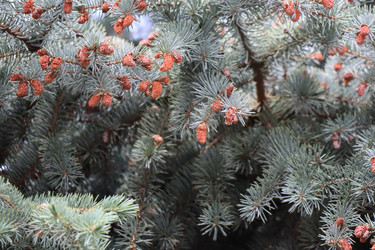 Similar image 21522991