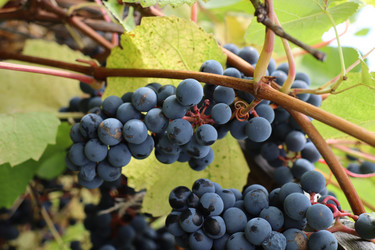 Similar image 21522992