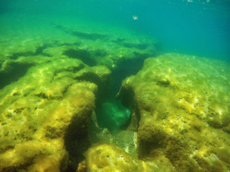 Similar image 21523764