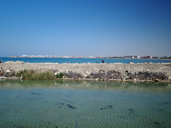 Similar image 21523765