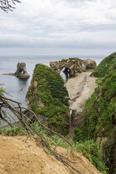 Similar image 21523782