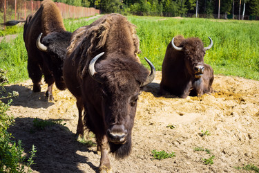 Similar image 21523786