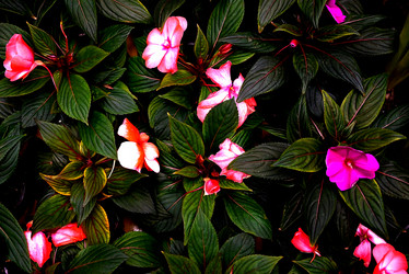 Similar image 21523791