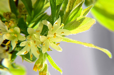 Similar image 21523792