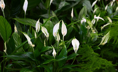 Similar image 21523793