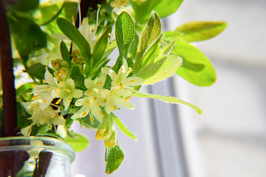 Similar image 21523794