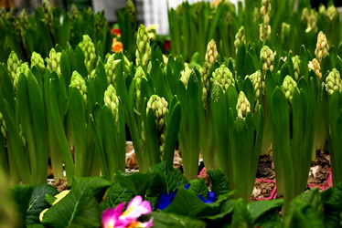 Similar image 21523795