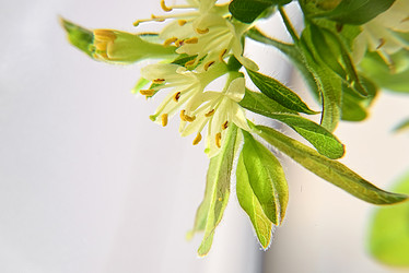 Similar image 21523796