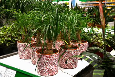 Similar image 21523797