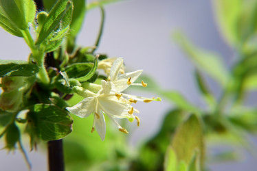 Similar image 21523821