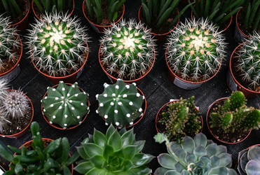 Similar image 21523824