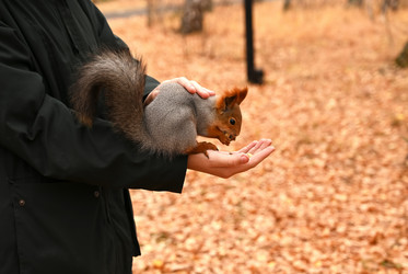 Similar image 21523825