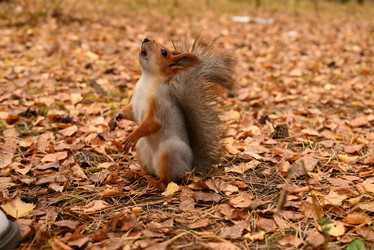 Similar image 21523827