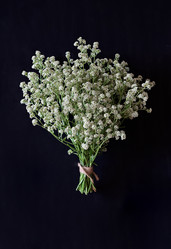 Similar image 21523836