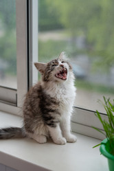 Similar image 21533099