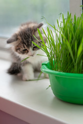 Similar image 21533100