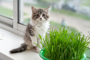 Similar image 21533101