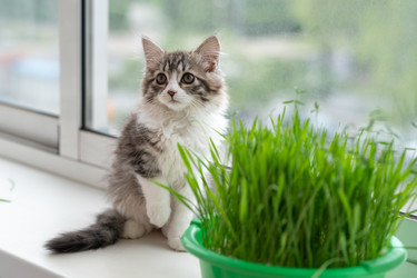 Similar image 21533102