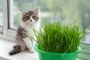 Similar image 21533103