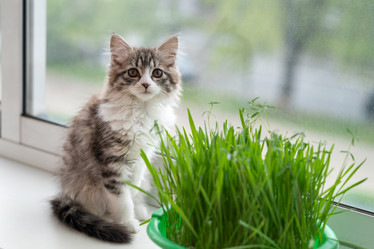 Similar image 21533104