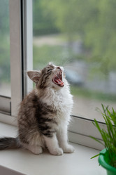 Similar image 21533106